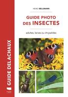 Insectes et autres invertébrés Guide photo des insectes, Adultes, larves ou chrysalides