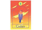 Cedars