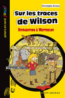 SUR LES TRACES DE WILSON, DISPARITION A WATTRELOS