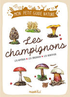 Les champignons, Les repérer, les observer, les idendifier