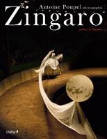 Zingaro