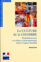 La culture de la chambre / préadolescence et culture contemporaine dans l'espace familial, préadolescence et culture contemporaine dans l'espace familial