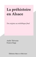 La préhistoire en Alsace, Des origines au néolithique final