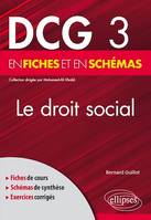 DCG 3 - Le Droit social en fiches et en schémas