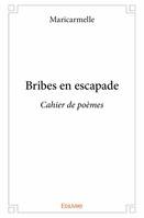 Bribes en escapade, Cahier de poèmes