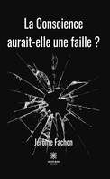 La Conscience aurait-elle une faille ?