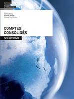 Comptes consolidés, Solutions