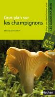 Les champignons