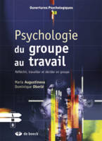 Psychologie sociale du groupe au travail, Réfléchir, travailler et décider en groupe