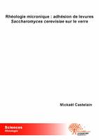 Rhéologie micronique : adhésion de levures <i>Saccharomyces cerevisiae</i> sur le verre