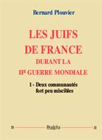 Les Juifs de France durant la IIe guerre mondiale, La Solution finale de la question juive en France. (Traque, solidarité, puis vengeance : de l’été 41 à nos jours)