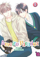 5, Ameiro paradox