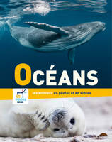 Océans, Les animaux dans leur habitat naturel en photos et en vidéos
