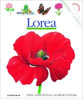 LOREA