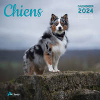 Calendrier Chiens 2024