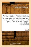 Voyage dans l'Asie Mineure, à Palmyre, en Mésopotamie, Syrie, Palestine et Égypte. Tome 1