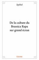 De la culture du brassica rapa sur grand écran