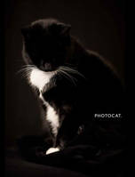 PhotoCat. /anglais