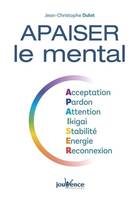 Apaiser le mental, Acceptation pardon attention ikigai stabilité énergie reconnexion