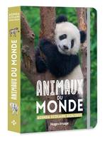 Agenda scolaire animaux du monde 2024 - 2025