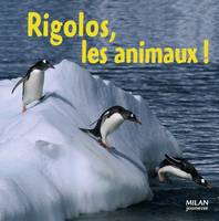 Rigolos, les animaux