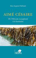 Aimé Césaire, De l'africain transplanté à la laminaire