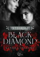 Black Diamond - Intégrale, Roman