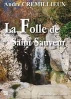 La folle de Saint-Sauveur, Roman