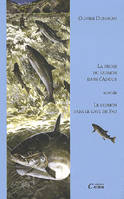 La pêche du saumon dans l'Adour