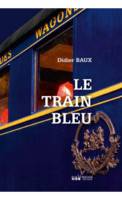 Train bleu, roman