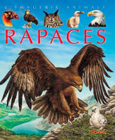 Les rapaces