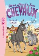 4, Mes amis les chevaux / Ma première bibliothèque rose