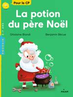 La potion du père Noël