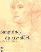 Sanguines du XIXe siècle: De Delacroix à Maurice Denis, [exposition, Paris , 28 juin-25 septembre 1994, Musée d'Orsay Collectif, de Delacroix à Maurice Denis