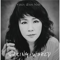 Waking World (vinyle)