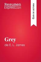 Grey de E. L. James (Guía de lectura), Resumen y análisis completo