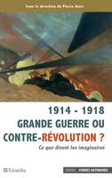 1914 - 1918 Grande guerre ou contre-révolution ?, Ce que disent les imaginaires