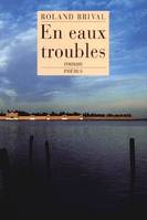 En eaux troubles, roman