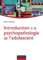 Introduction à la psychopathologie de l'adolescent, Approche psychanalytique