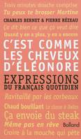 Dictionnaire des expressions quotidiennes / c'est comme les cheveux d'Eléonore, expressions du français quotidien