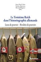 Le Troisième Reich dans l'historiographie allemande, Lieux de pouvoir - Rivalités de pouvoirs