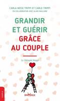 Grandir et guérir grâce au couple, La thérapie imago