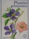 Plantes grimpantes