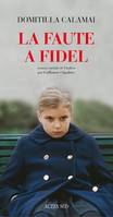 La Faute à Fidel, roman