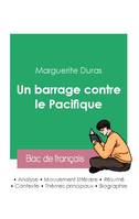 Réussir son Bac de français 2023 : Analyse du roman Un barrage contre le Pacifique de Marguerite Duras