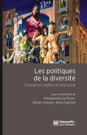 Les politiques de la diversité, Expériences anglaise et américaine