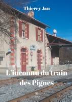 L'inconnu du train des Pignes, Roman