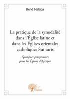 La pratique de la synodalité dans l’Église latine et dans les Églises orientales catholiques Sui iuris, Quelques perspectives pour les Eglises d'Afrique