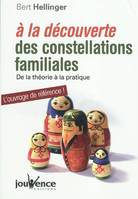 n°290 A la découverte des constellations familiales, De la théorie à la pratique