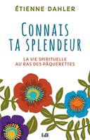 La vie spirituelle au ras des pâquerettes, 1, Connais ta splendeur, La vie spirituelle… au ras des pâquerettes